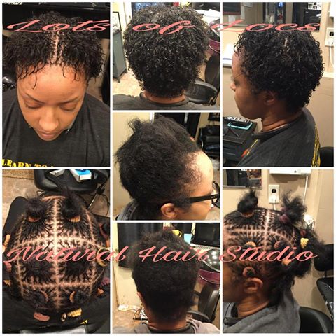 Lots of Locs natural hair styling portfolio collage